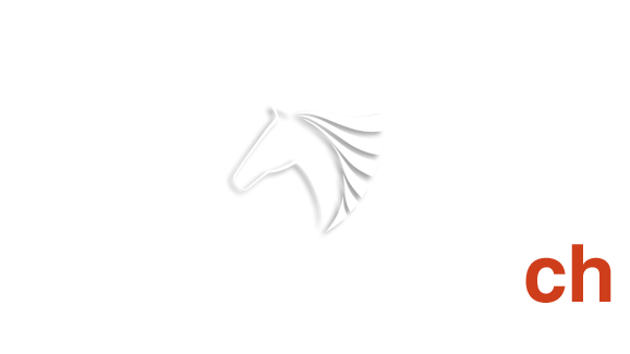 Pferdetherapie Hof Fehmbusch