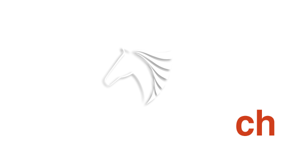 Horse Therapy Hof Fehmbusch